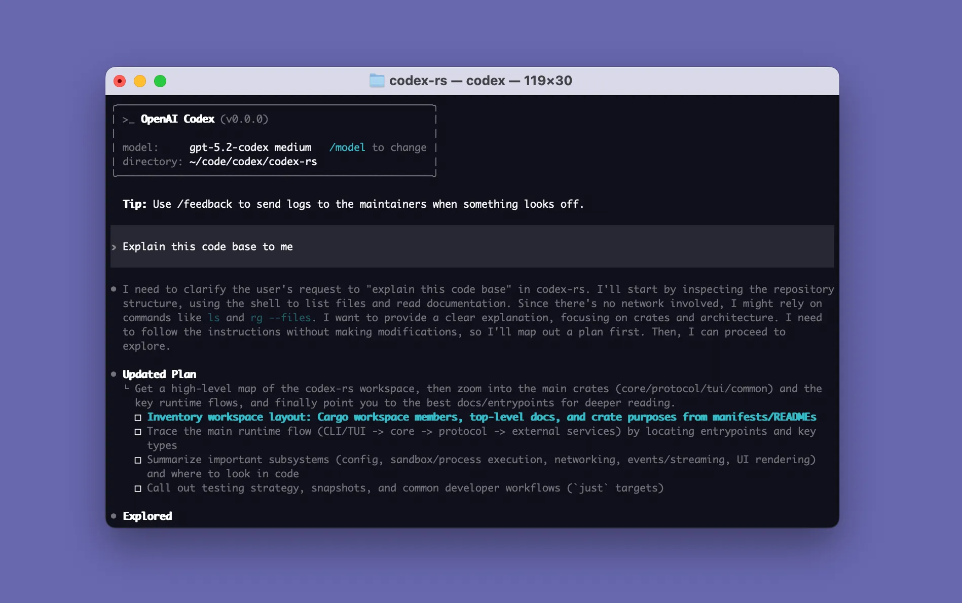 OpenAI Codex CLI 官方终端界面预览